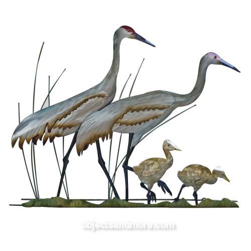 Sandhill Cranes Family by MARK MALIZIA